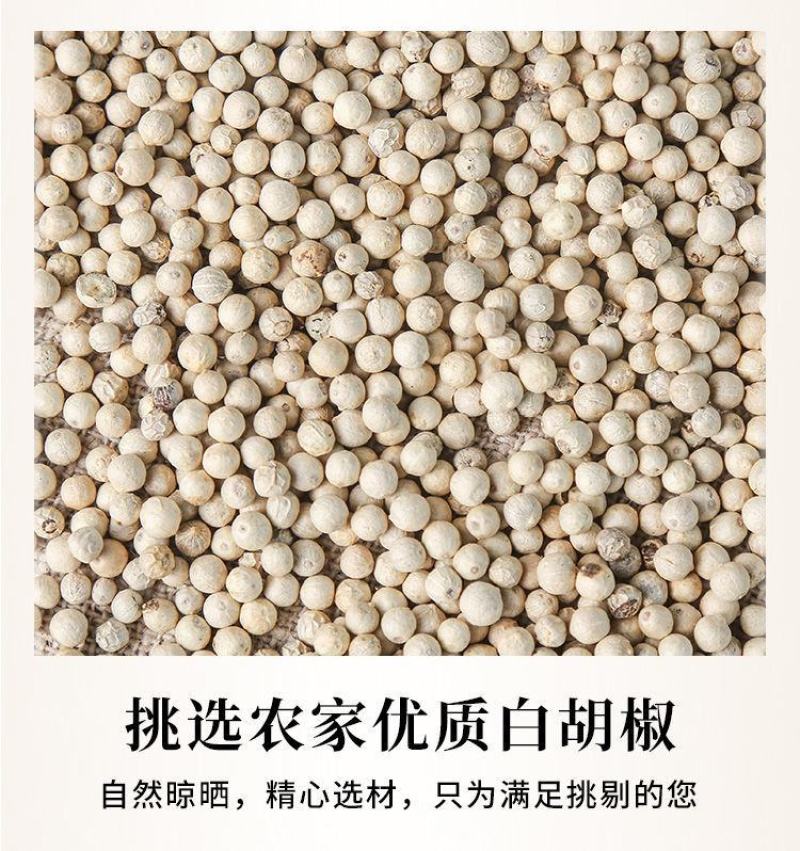 白胡椒供应优质海南白胡椒50kg胡椒颗粒量大价更优