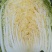 安徽直供大白菜自种现割新鲜品相好口感佳大量批发