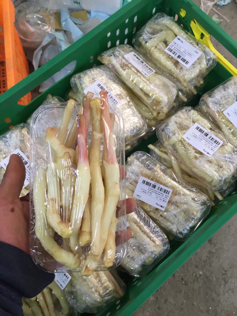 威远锅炉仔姜无筋姜。
