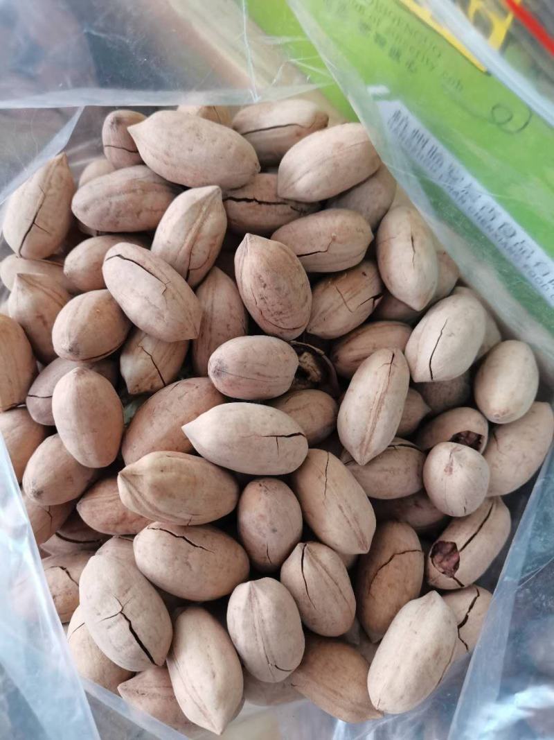 奶香碧根果坚果零食薄壳易剥厂家直销货源充足