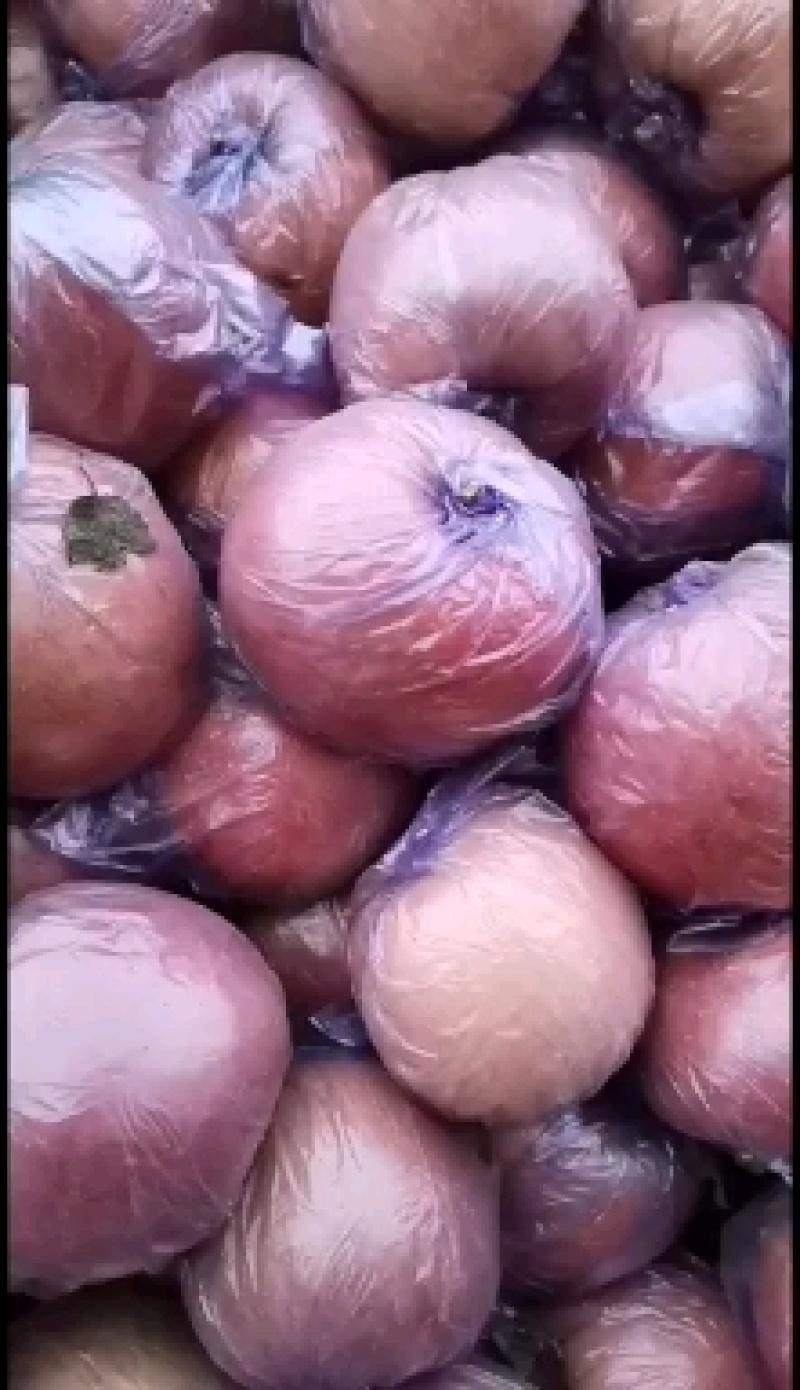 红富士苹果【冰糖心】大量出售！品种齐全！价格美丽！