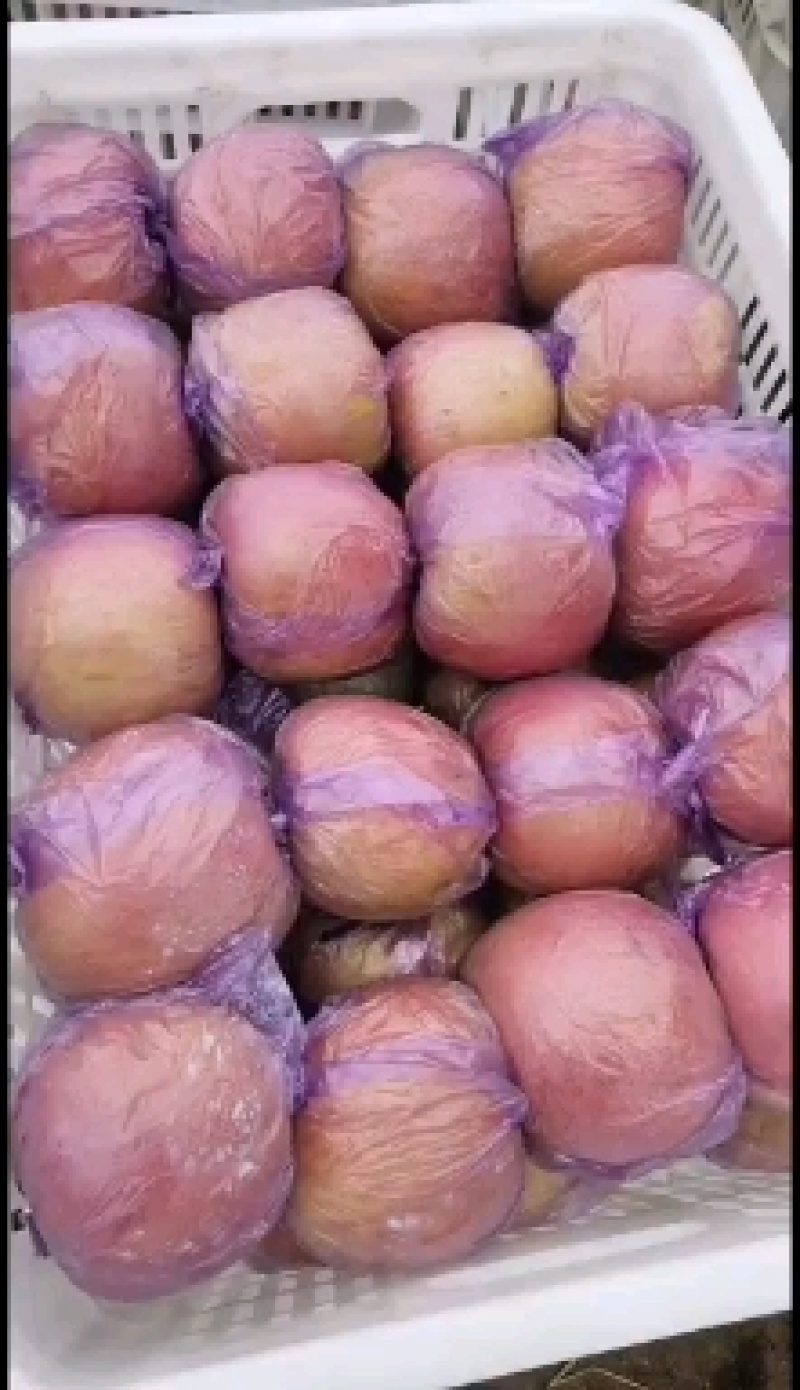 红富士苹果【冰糖心】大量出售！品种齐全！价格美丽！