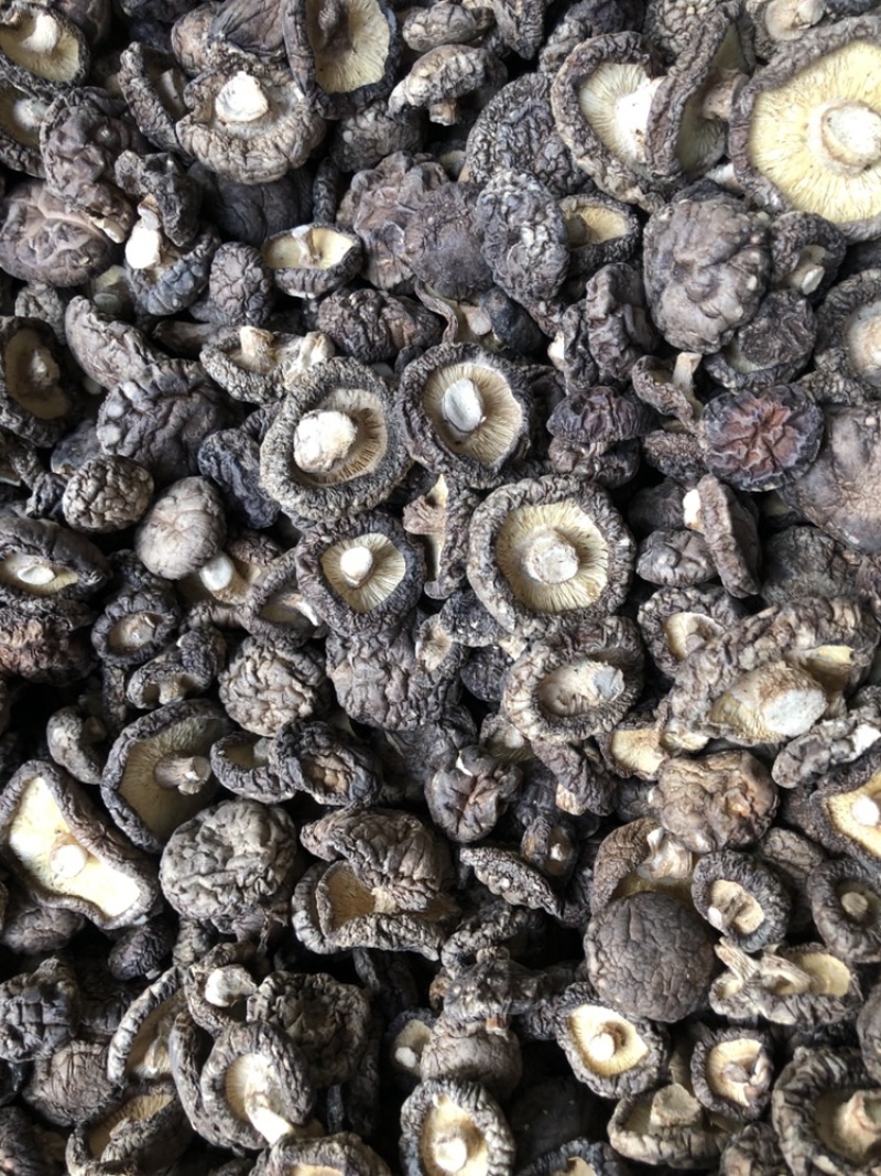 河南西峡香菇干货500g蘑菇冬菇干花菇大量现货一手货源