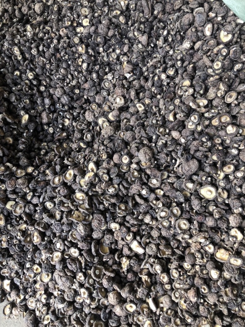 河南西峡香菇干货500g蘑菇冬菇干花菇大量现货一手货源