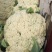 瑞安市登明蔬菜专业合作社