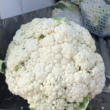 瑞安市登明蔬菜专业合作社