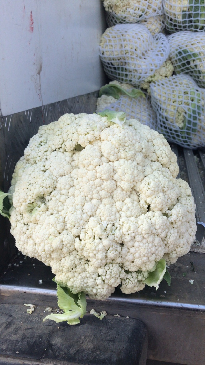 瑞安市登明蔬菜专业合作社
