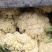 瑞安市登明蔬菜专业合作社