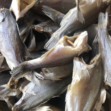 淡水鲈鱼干三去鲈鱼干海鲈鱼干大中小各规格都有