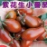 花生番茄种子超甜小西红柿种籽特色樱桃番茄圣女果超