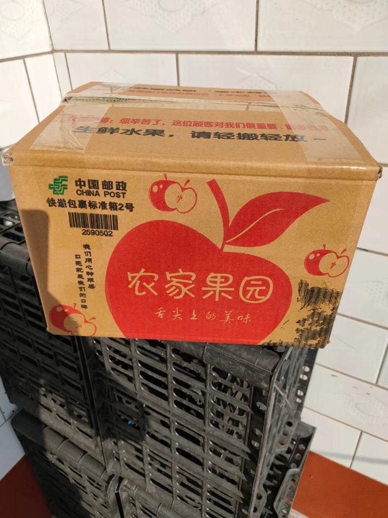 山西芮城冰糖心红富士苹果