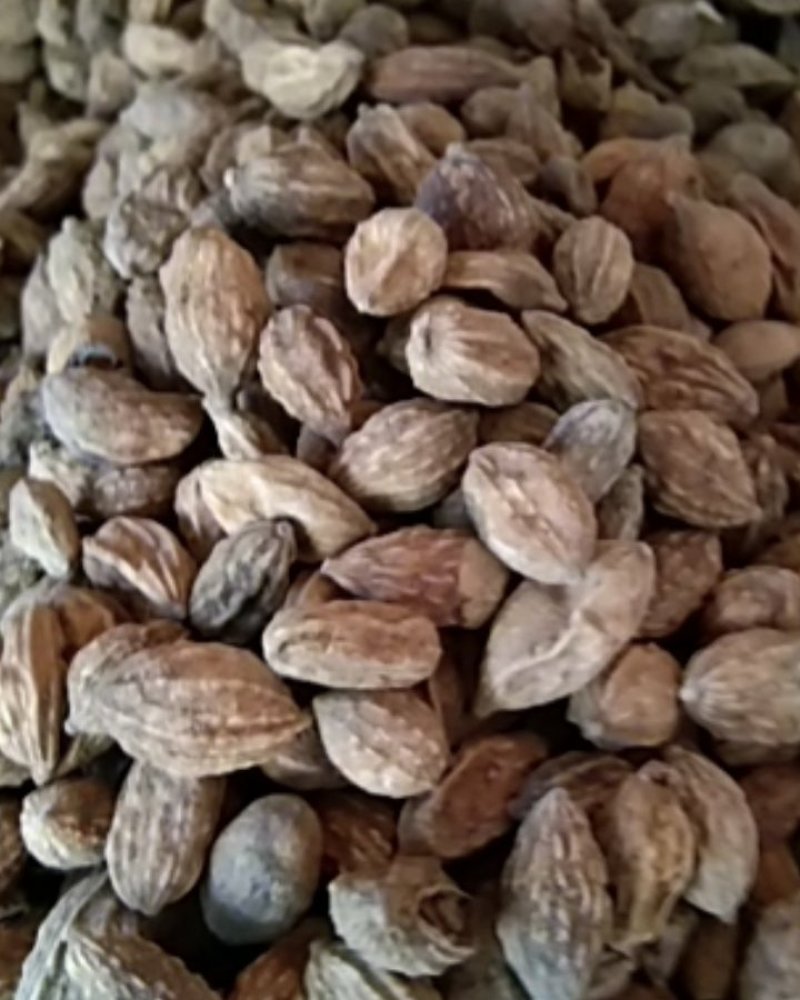 砂仁，圆砂仁，长砂仁，大量上市，批发零售，质优价美