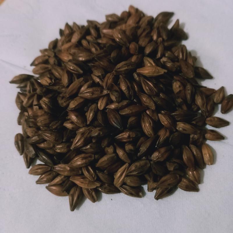 大麦茶炒大麦原生态农副产品各种规格批发各种中药
