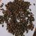 大麦茶炒大麦原生态农副产品各种规格批发各种中药