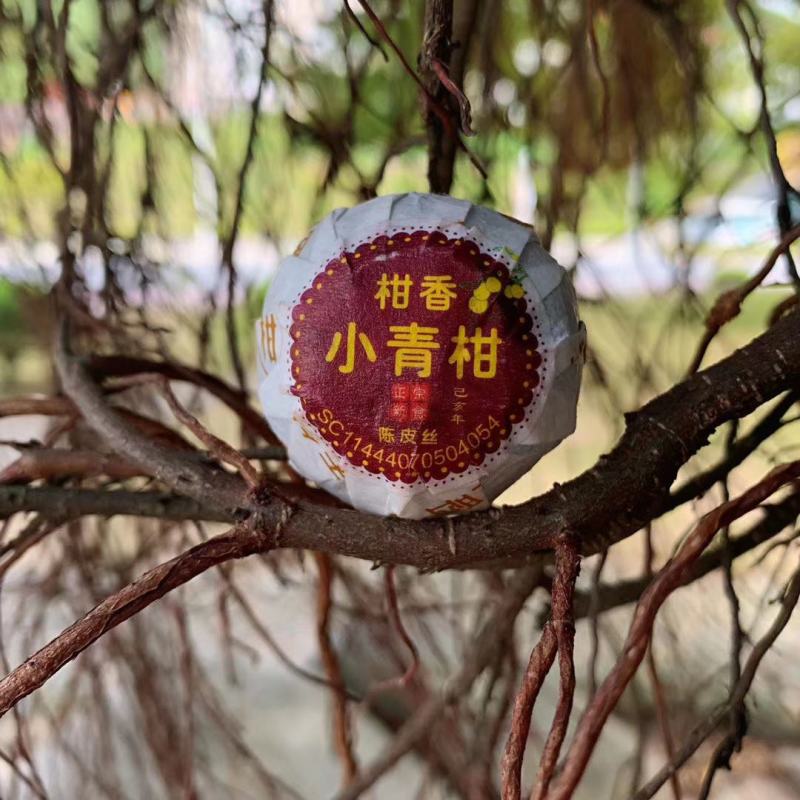 新会小青柑陈皮丝柑香普洱小青柑500g支持线上保障交易