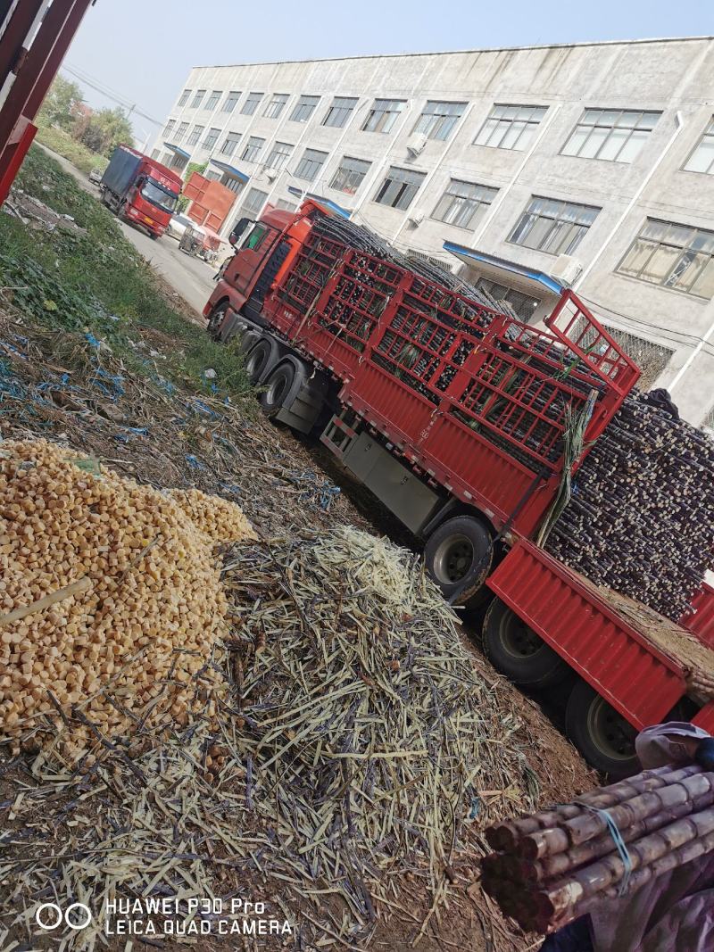 河南鸿业食品有限公司—甘蔗肉