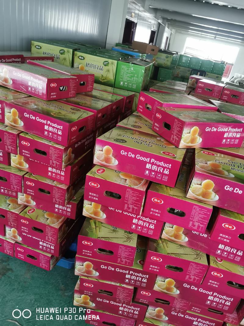 河南鸿业食品有限公司—甘蔗肉