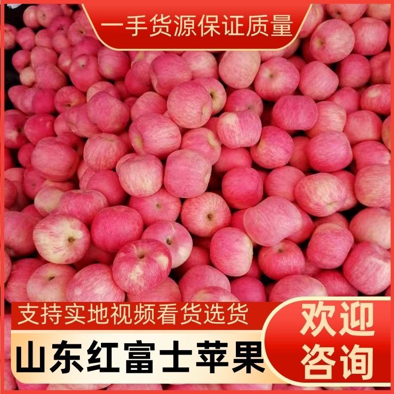 山东红富士苹果条纹全红都有产地供应全国发货