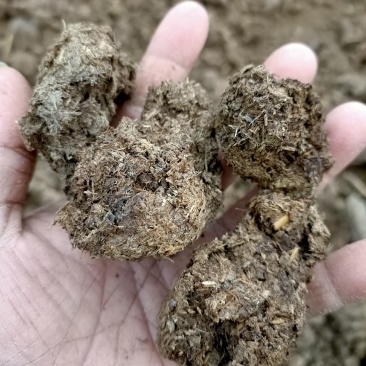干牛粪,纯牛粪有机肥,蘑菇专用肥!果树专用肥,生物有机肥
