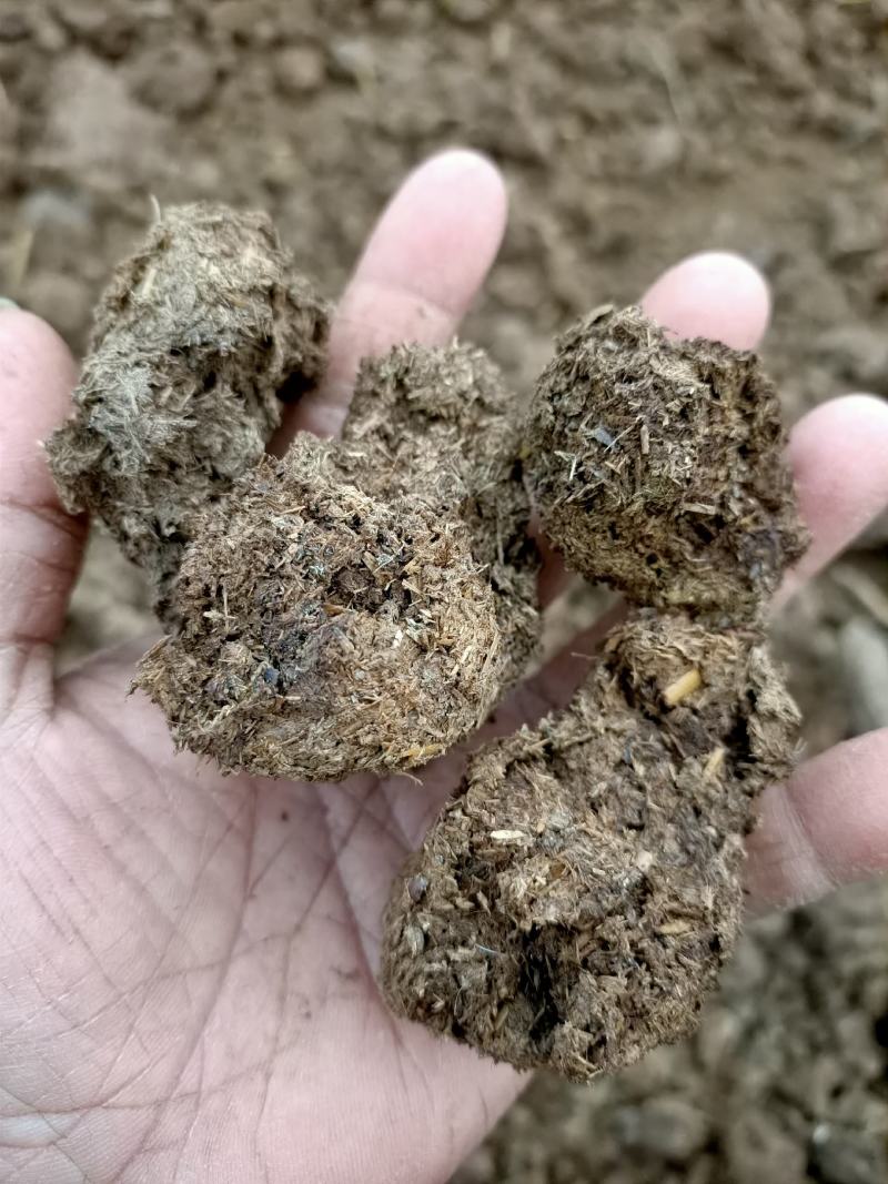 干牛粪，纯牛粪有机肥，蘑菇专用肥！果树专用肥，生物有机肥