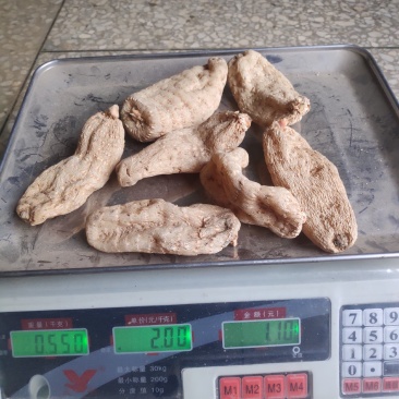 陕西商洛优质天麻一手货源产区直供全国发货