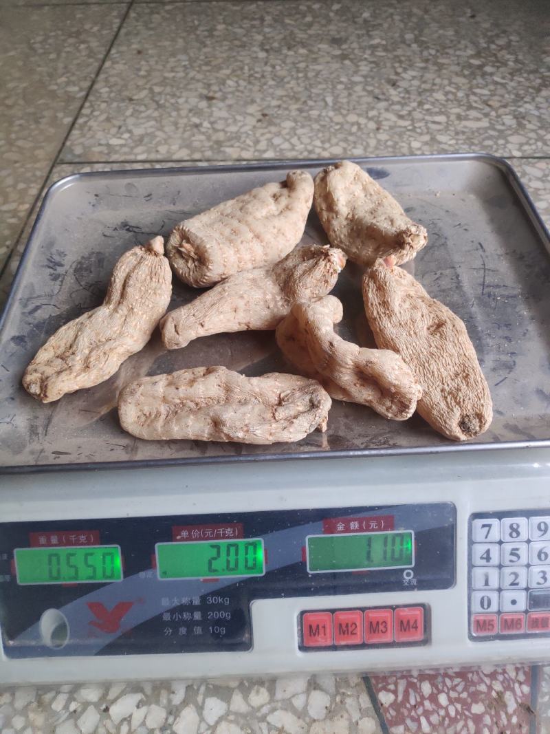 陕西商洛优质天麻一手货源产区直供全国发货