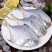 新鲜银鲳鱼海鲜白鲳鱼新鲜美味爽口（6斤1件包邮）