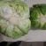 蔬菜圆包甘蓝，色泽青秀，个头均匀，重量2.5斤左右