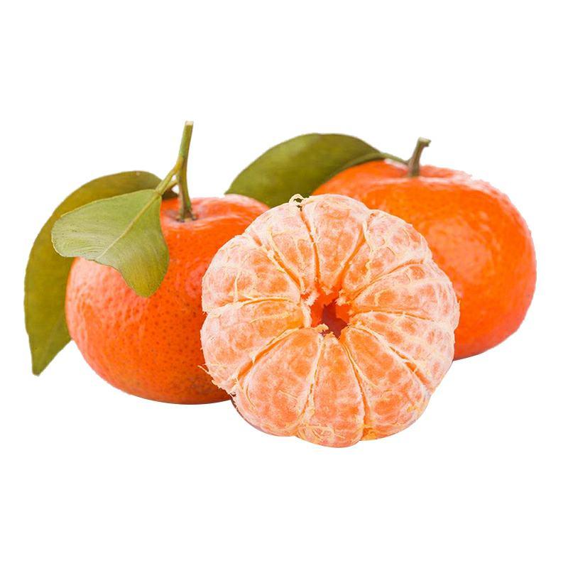 广西砂糖橘正宗荔浦砂糖橘当季新鲜水果橘子代办批发果园直发