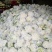 花菜有机花菜白面青梗松花菜，2斤左右，个头均匀花球雪白，