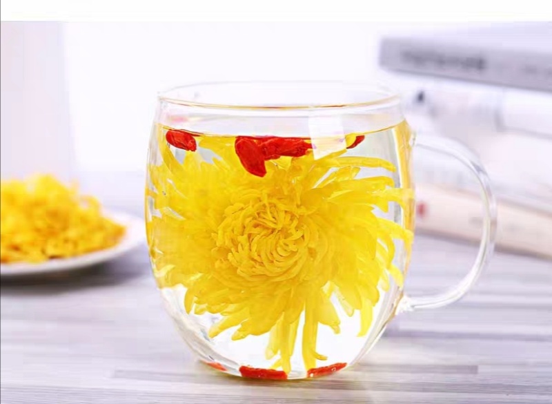 金丝皇菊———菊花茶