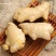 生姜，新鲜生姜！包邮到家！按时发货！精选生姜！