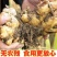 生姜，新鲜生姜！包邮到家！按时发货！精选生姜！
