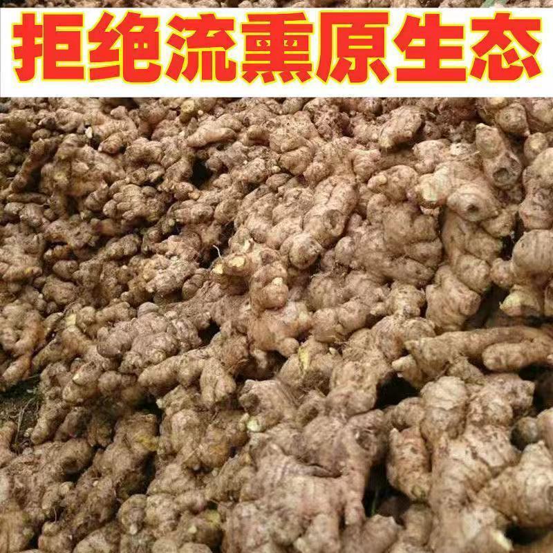 生姜，新鲜生姜！包邮到家！按时发货！精选生姜！