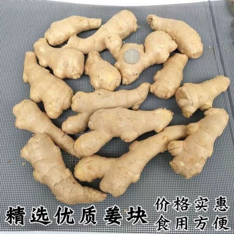 生姜，新鲜生姜！包邮到家！按时发货！精选生姜！