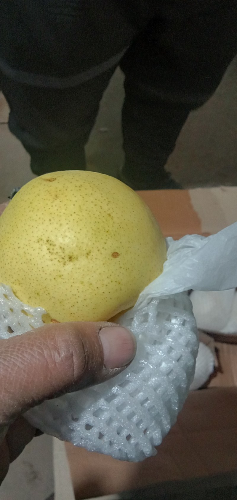 河北雪花梨质量好，口感脆甜，海量货源出库中！