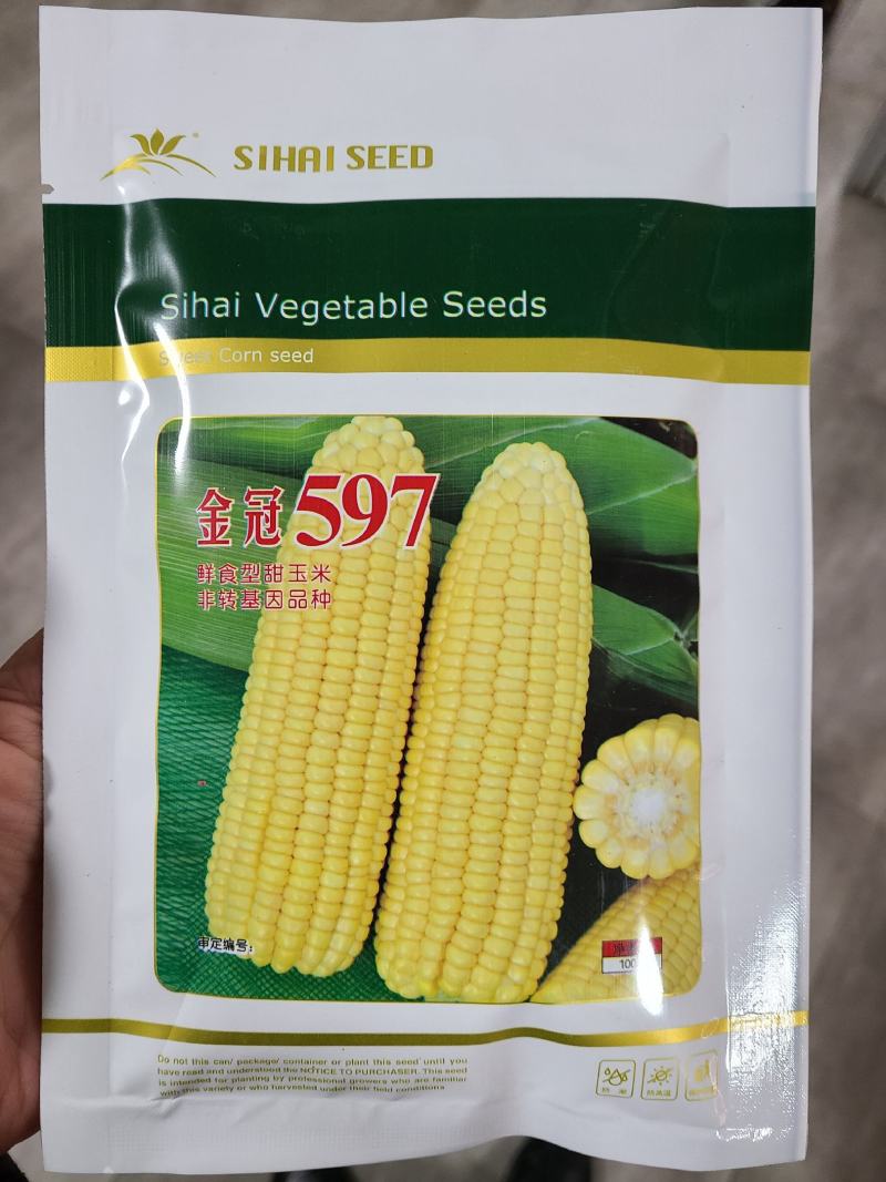 一代交配，北京四海种业出品，金冠597甜玉米种子