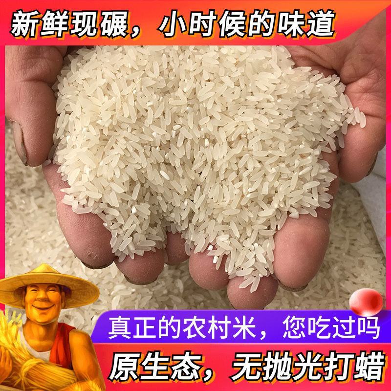 广东云浮罗定美香粘香米自产自销美香粘香米