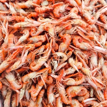 山东爪虾！鳌虾也叫狗虾立虾油炸，麻辣虾食材可视频看货