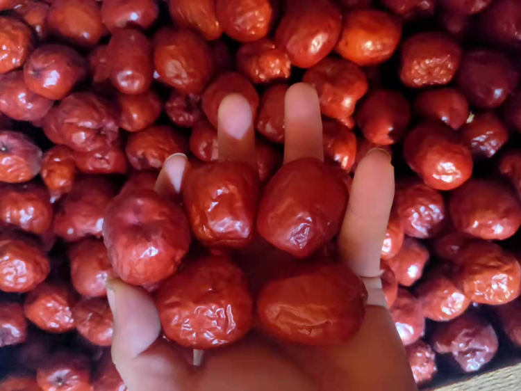 苹果、红枣、香蕉等温性水果组合图,展示适合经期食用的水果种类 温性水果组合图