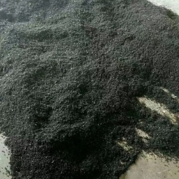 大山里的野生黑蚂蚁，无杂质，干度好，广东蚂蚁