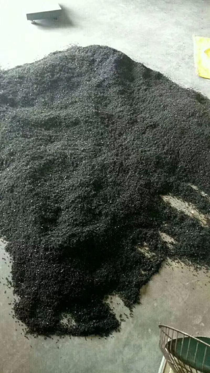 大山里的野生黑蚂蚁，无杂质，干度好，广东蚂蚁