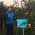 广西沃柑供电商市场大量走货实力代办提供实地看果