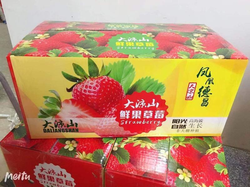 冬草莓3斤5斤包一件代发包邮奶油草莓礼盒装双流草莓