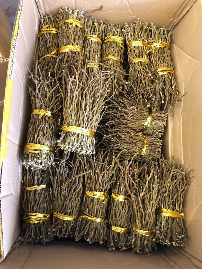 大金湖.尚书品.深山土特产.铁皮石斛