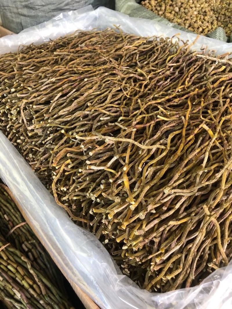 大金湖.尚书品.深山土特产.铁皮石斛