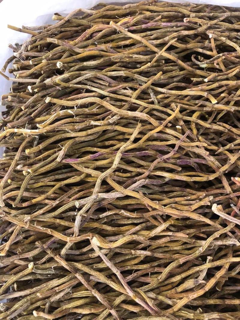 大金湖.尚书品.深山土特产.铁皮石斛