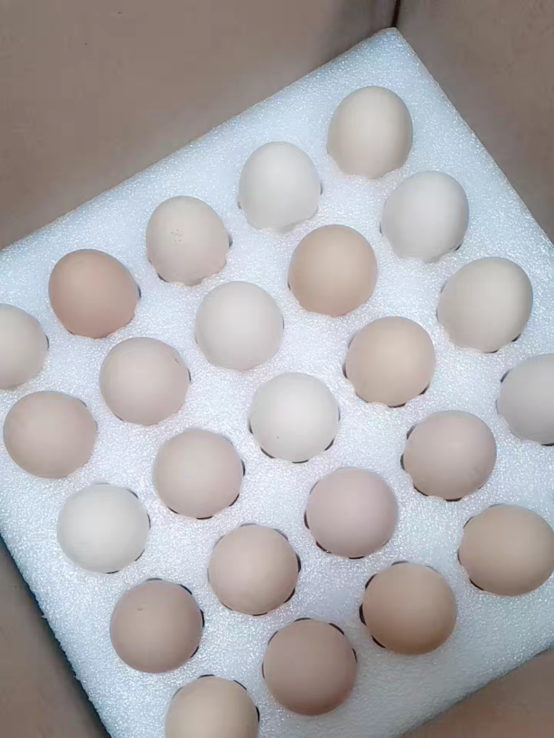 【精品】50枚装农家散养土鸡蛋，吃出小时候的味道