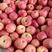 红富士苹果产地批发价格低山东苹果口感脆甜颜色漂亮全国发货