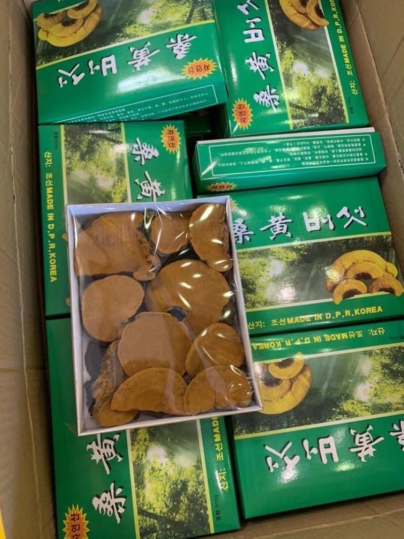 桑黄煮水喝大量批发野生桑黄500克一盒